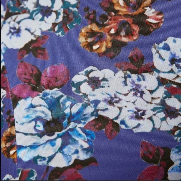 Zara studio edition equestrian pants - Picture 8 of 8